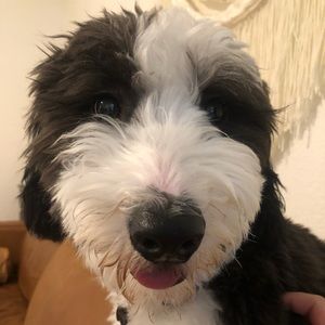 Meet your Posher, Jamie